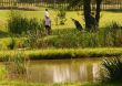 Golf - CZ OKNA 