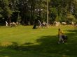 Golf - CZ OKNA 